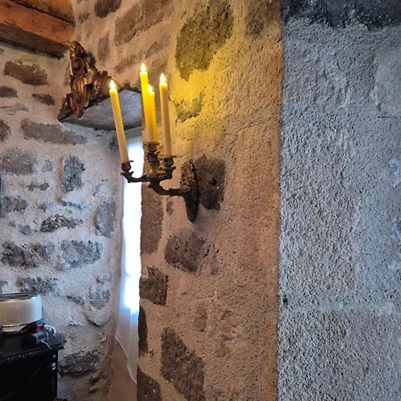 شقة Meuble De Caractere La Jeune Fille A La Perle Le Puy-en-Velay